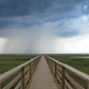 Meet your Posher, Jane